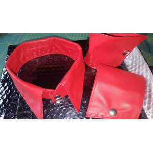 Bizonder - Kraag en 2 Manchetten - Leer - Rood