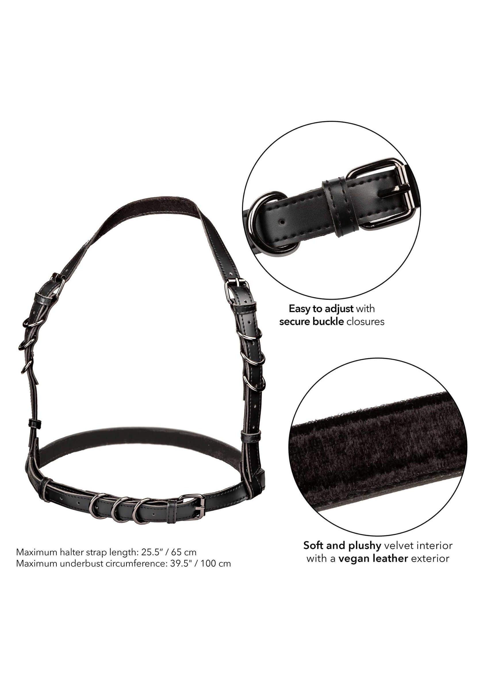 CalExotics - Euphoria - Halter - Harnas - PU-leer - Zwart - Afbeelding 4