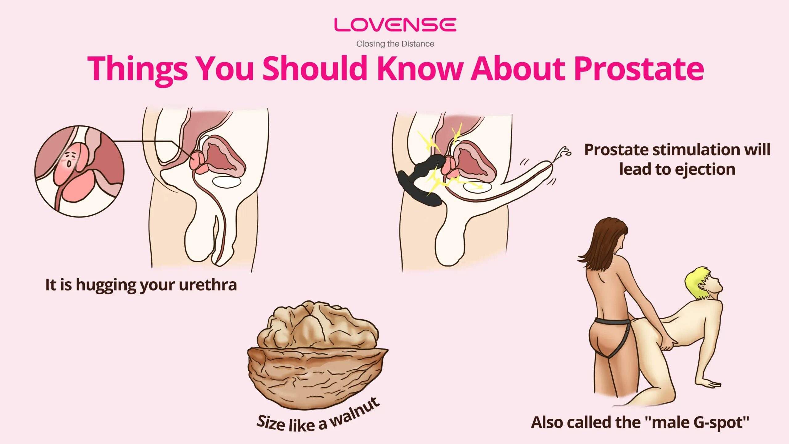 Lovense - Edge 2 – Prostaatvibrator met App en Dubbele Stimulatie - Afbeelding 3