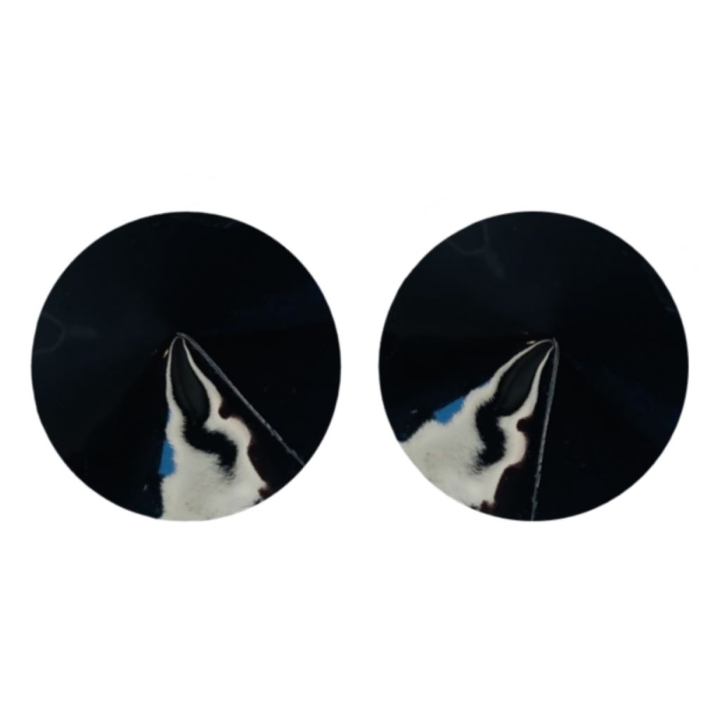 Kinky Diva - Tepelplakkers - Herbruikbaar - Lak - Zwart - Afbeelding 3